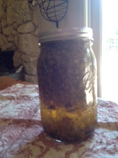 arnica oil infusion